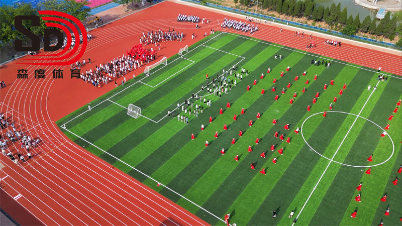 新乡医学院 | 全塑型自结纹跑道及人造草坪